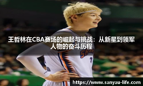 王哲林在CBA赛场的崛起与挑战:从新星到领军人物的奋斗历程